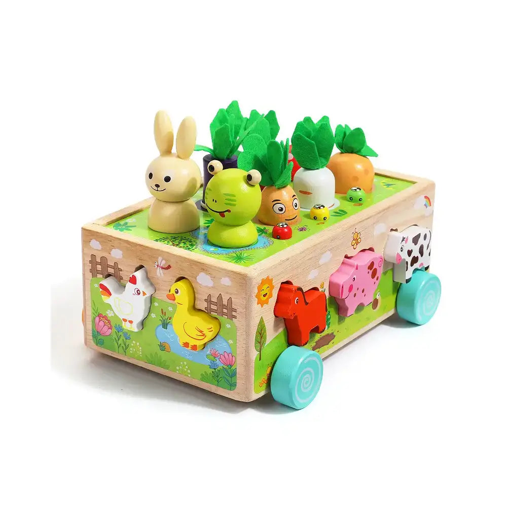 Wooden Carrot Sorting Toy for kids and family play, image 1