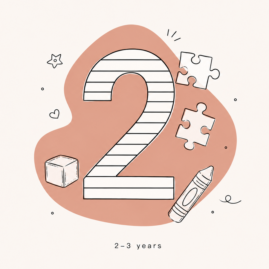 2–3 años
