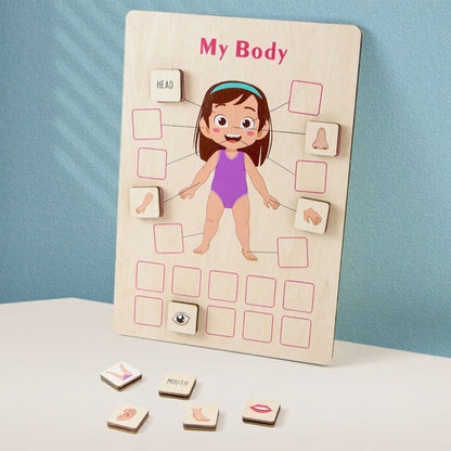 Wooden Body Puzzle for kids and family play, image 6