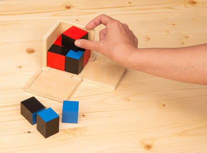Binomial and Trinomial Cube Set for kids and family play, image 3