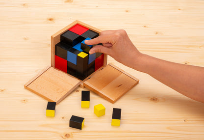 Binomial and Trinomial Cube Set for kids and family play, image 7
