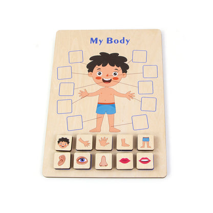 Wooden Body Puzzle for kids and family play, image 1