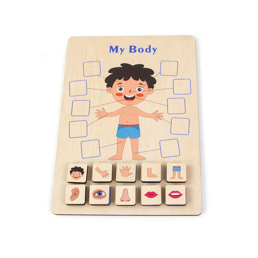 Wooden Body Puzzle for kids and family play, image 1