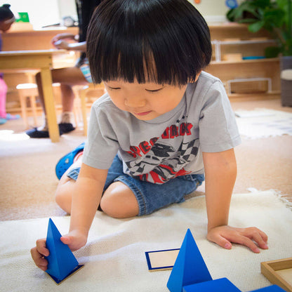 Classic Wooden Shape Sorter for kids and family play, image 6
