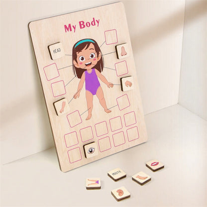 Wooden Body Puzzle for kids and family play, image 3