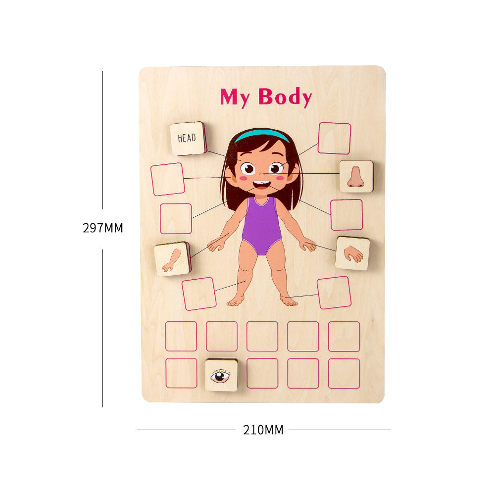 Wooden Body Puzzle for kids and family play, image 4