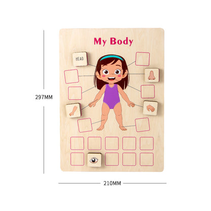 Wooden Body Puzzle for kids and family play, image 4