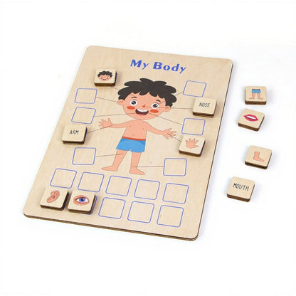 Wooden Body Puzzle for kids and family play, image 5